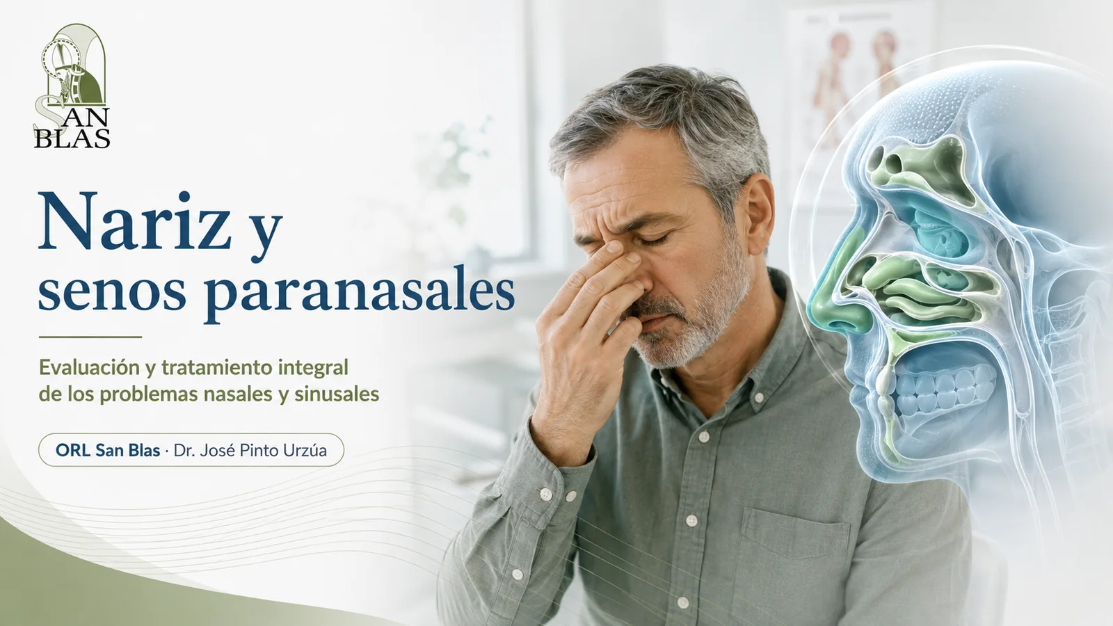 Nariz y senos paranasales - ORL San Blas